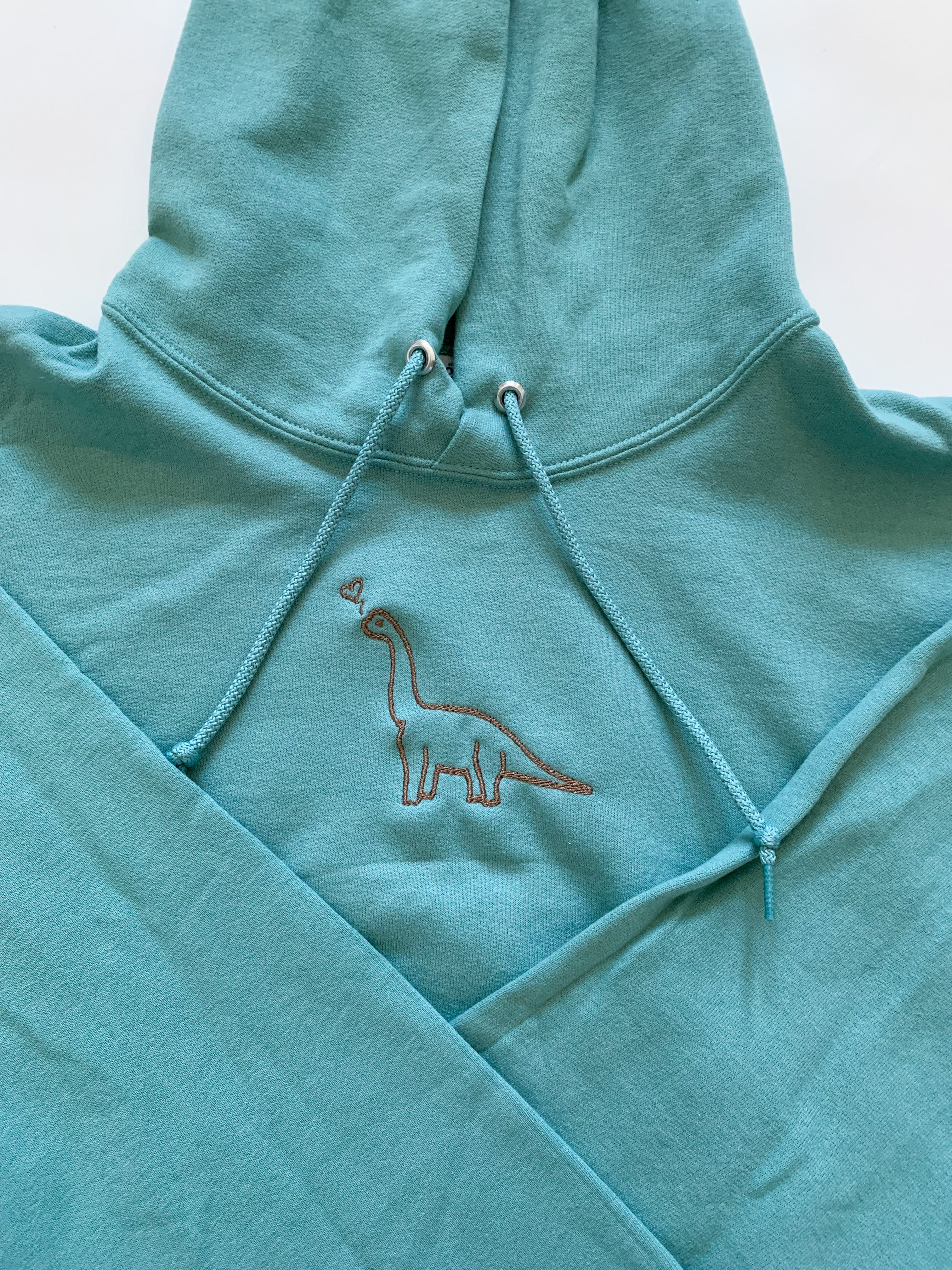 Matching discount dinosaur hoodies